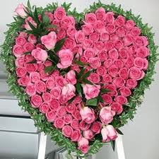 Pink heart with 100 roses
